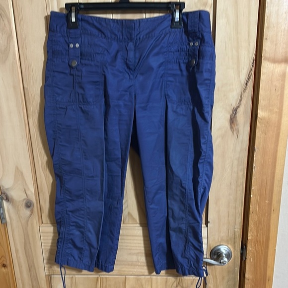 NWOT LOFT Capris Pants - Picture 1 of 5